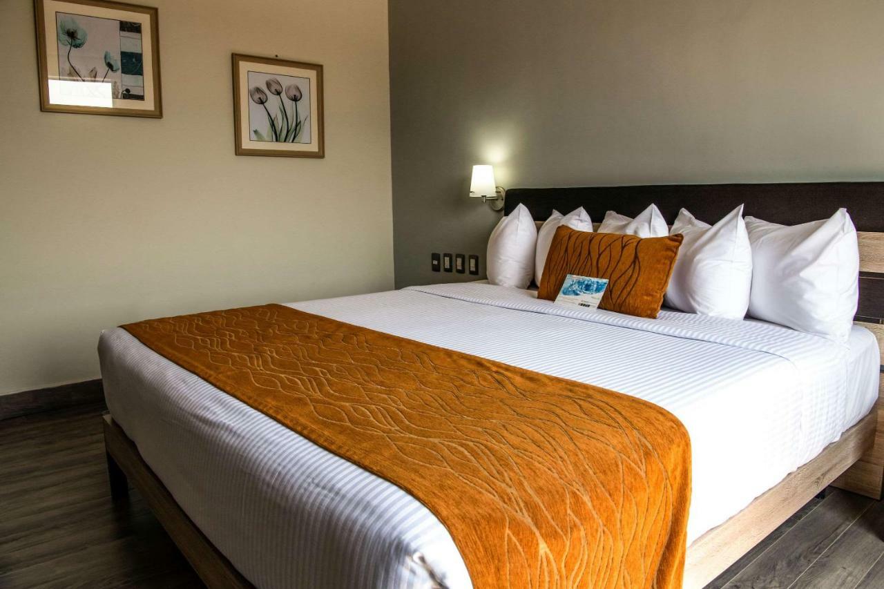 Comfort Inn Irapuato Exteriér fotografie